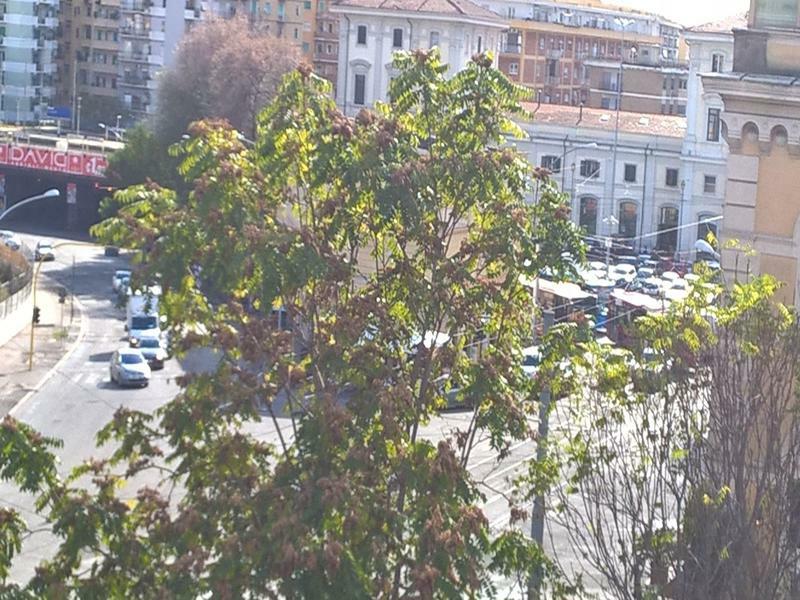 Elegance Scalini Di Trastevere โรม ภายนอก รูปภาพ